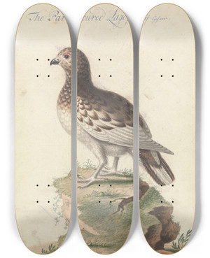 Triptych art skateboard deck of George Edwards Ptarmigan by George Edwards