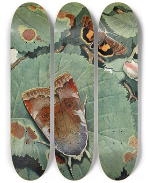 Triptych art skateboard deck of Paulandre Robert Le Casque by Paul-Andre Robert (1901-1977)
