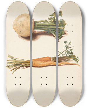 Triptych art skateboard deck of Johanna Fosie Studie Af Majroe Og Gulerdder by Johanna Fosie (1726-1764)