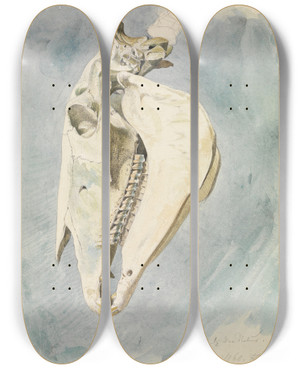 Triptych art skateboard deck of Ferdinand Keller Studie Eines Tierschdels_2 by Ferdinand Keller (1842-1922)
