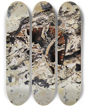 Triptych art skateboard deck of Paulandre Robert La Cidarie Du Prunier by Paul-Andre Robert (1901-1977)