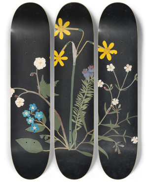 Triptych art skateboard deck of Ellen W Album Of Cutpaper Flowers Pl06 by Ellen W (19-)