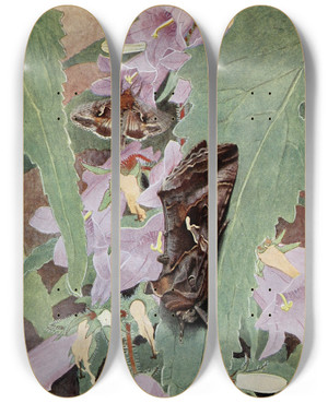 Triptych art skateboard deck of Paulandre Robert La Plusie Gamma by Paul-Andre Robert (1901-1977)