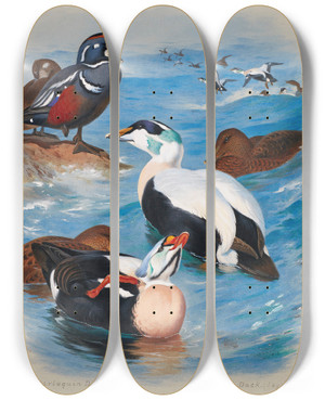 Triptych art skateboard deck of Archibald Thorburn Harlequinand Eiderducks by Archibald Thorburn (1860-1935)