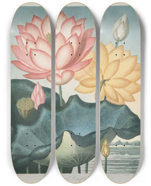 Triptych art skateboard deck of Robert John Thornton The Sacred Egyptian Bean by Robert John Thornton (1768-1837)