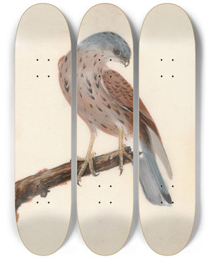Triptych art skateboard deck of William Lewin Falcon Hen Krestel by William Lewin