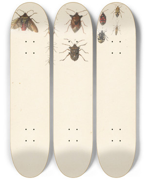 Triptych art skateboard deck of Albertus Steenbergen Studieblad Met Elf Verschillende Kevers by Albertus Steenbergen (1814-1900)