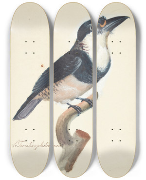 Triptych art skateboard deck of Johan Christian Ernst Walter Eksotisk Fugl_5 by Johan Christian Ernst Walter