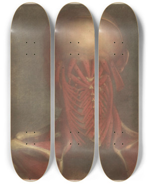 Triptych art skateboard deck of Jacques Fabien Gautier Dagoty Male Head Showing The Muscles Of The Back Of The Head Neck And Shoulder Blades_2 by Jacques Fabien Gautier d'Agoty (1711-1786)