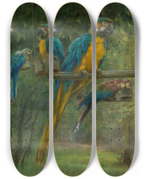 Triptych art skateboard deck of Berthe Art Blue Macaws by Berthe Art