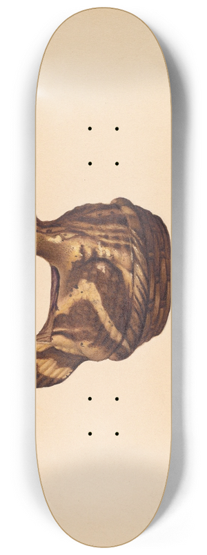 Aaron Fastovsky - Bank 8.25 inch art skate deck