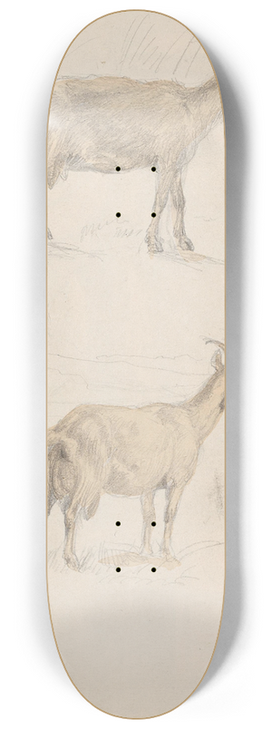 Adolph Tidemand - Geiter 8.25 inch art skate deck