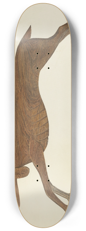 Frank Budash - Weather Vane 8.25 inch art skate deck