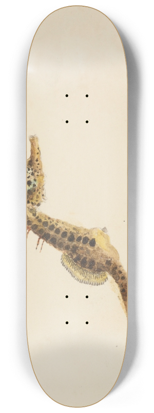 Frank Edward Clarke - Hippocampus abdominalis (Tas) : Seahorse 8.25 inch art skate deck