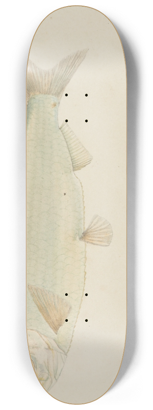 Frank Edward Clarke - Sardine 8.25 inch art skate deck