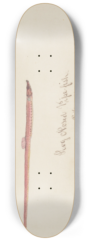 Frank Edward Clarke - Syngnathidae : Pipefish 8.25 inch art skate deck