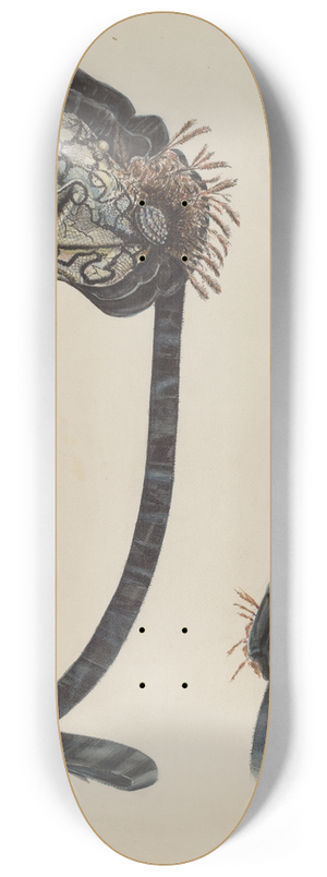 Al Curry - Bonnet 8.25 inch art skate deck