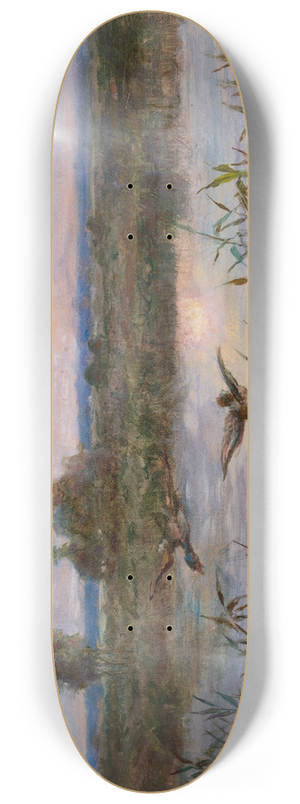 Aleksander Mroczkowski - Ducks over Marshes 8.25 inch art skate deck