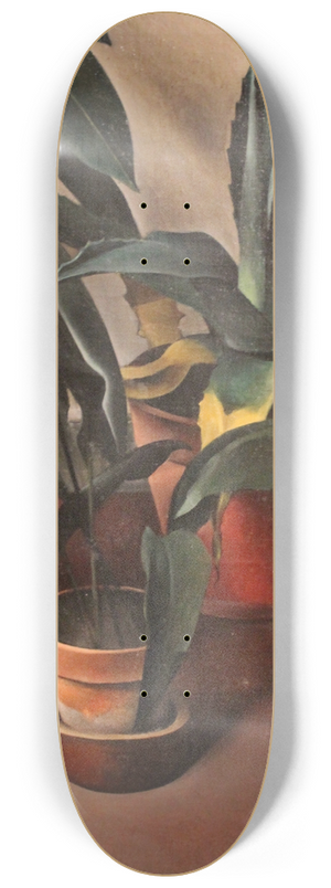 Alexander Kanoldt - Still Life 8.25 inch art skate deck