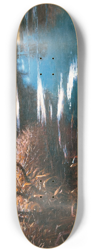 Alexander Koester - Altwasser bei Brixen 8.25 inch art skate deck