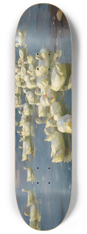 Alexander Koester - Enten im See 8.25 inch art skate deck