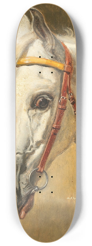 Alexander Pock - Pferdeportrait Quinta 8.25 inch art skate deck