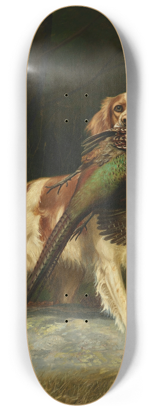 Alexander Pope - Springer Spaniel with Pheasant 8.25 inch art skate deck