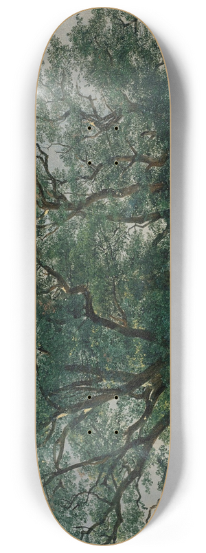Alexandre Calame - Quatre Grands Arbres 8.25 inch art skate deck
