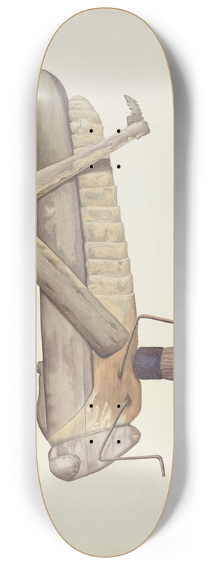 Alfred Denghausen - Grasshopper Weather Vane 8.25 inch art skate deck