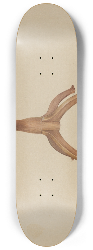 Alfred H. Smith - Table 8.25 inch art skate deck