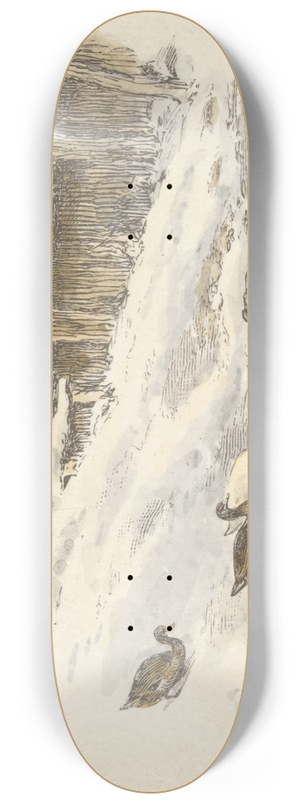 Alfred W. Cooper - Frost and Snow (tail piece) 8.25 inch art skate deck