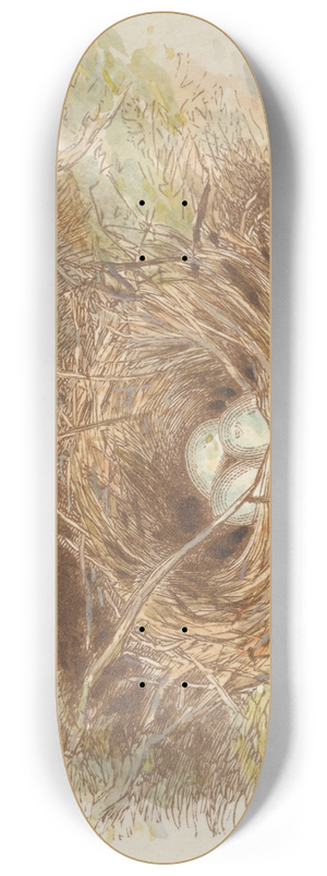 Alfred W. Cooper - The Deserted Nest (tail piece) 8.25 inch art skate deck