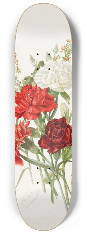Alois Lunzer - Carnations and Mignonette 8.25 inch art skate deck