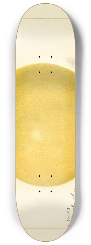 Amanda Almira Newton - Citrus paradisi: Davis Seedless 8.25 inch art skate deck