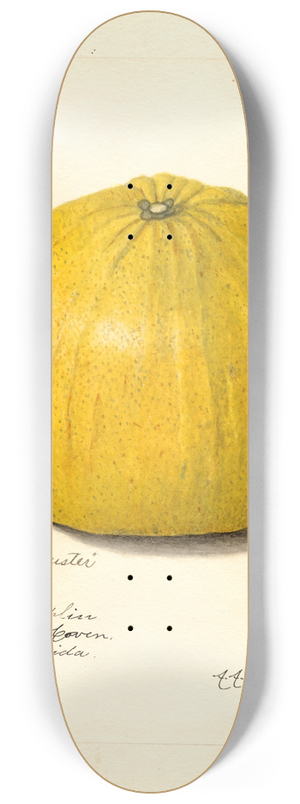 Amanda Almira Newton - Citrus paradisi: Silver Cluster 8.25 inch art skate deck