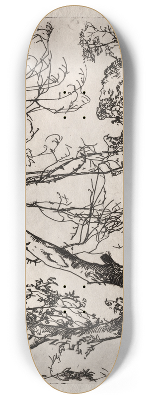 Frank Wilcox - Apple Tree 8.25 inch art skate deck