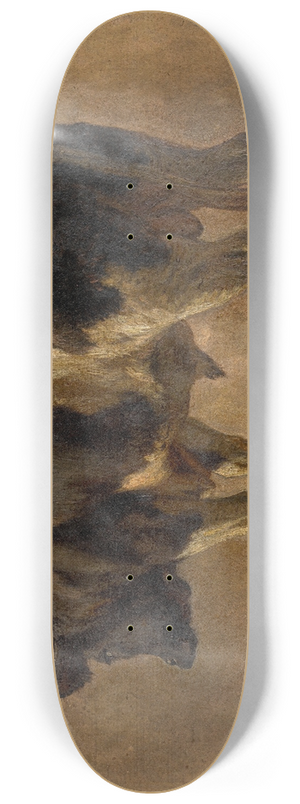 Andre Plumot - Bull 8.25 inch art skate deck