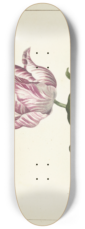 Anna Cornelia Moda - Tulip 8.25 inch art skate deck