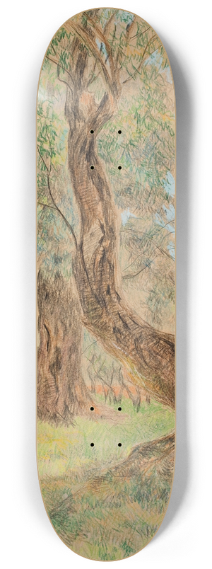 Anna De Weert - Oude olijfbomen 8.25 inch art skate deck