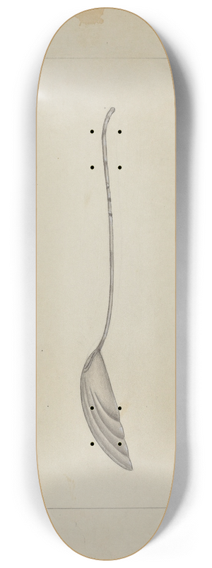 Anthony Zuccarello - Two Silver Sugar Spoons 8.25 inch art skate deck