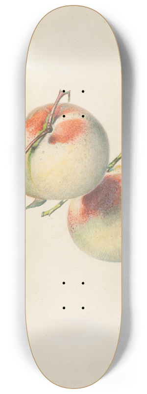 Albertus Steenbergen - Twee perziken aan hun steeltjes 8.25 inch art skate deck
