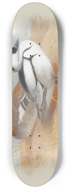 Archibald Thorburn - A Pair Of Smew Ducks 8.25 inch art skate deck
