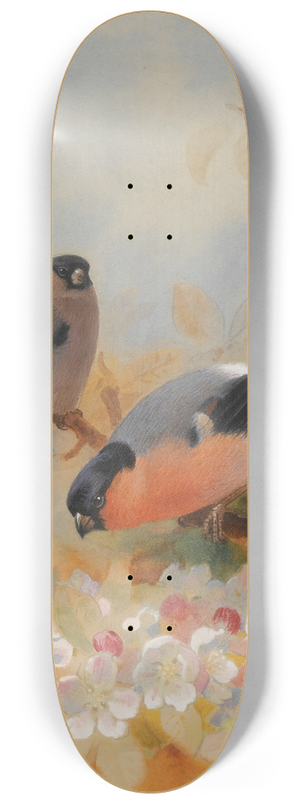 Archibald Thorburn - Bullfinches 8.25 inch art skate deck