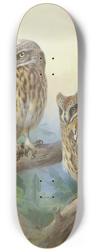 Archibald Thorburn - Little Owl And Scops Owl 8.25 inch art skate deck