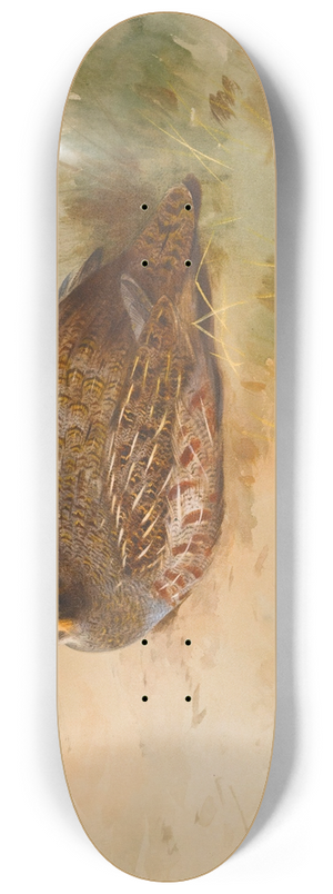 Archibald Thorburn - Partridge 8.25 inch art skate deck