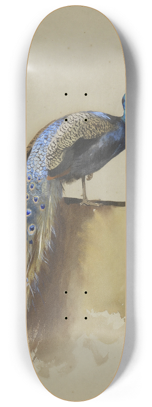 Archibald Thorburn - Peacock 8.25 inch art skate deck