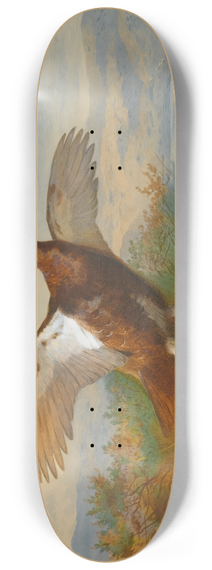 Archibald Thorburn - Red Grouse In Flight 8.25 inch art skate deck