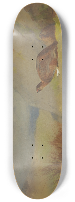Archibald Thorburn - Study for Grouse on the Moor 8.25 inch art skate deck