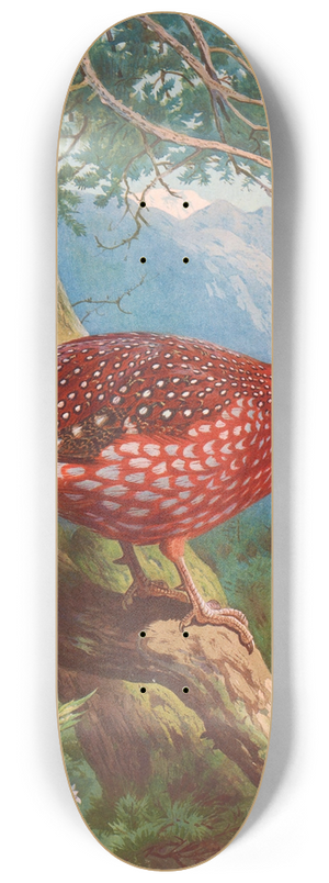 Archibald Thorburn - Temmincks Tragopan 8.25 inch art skate deck