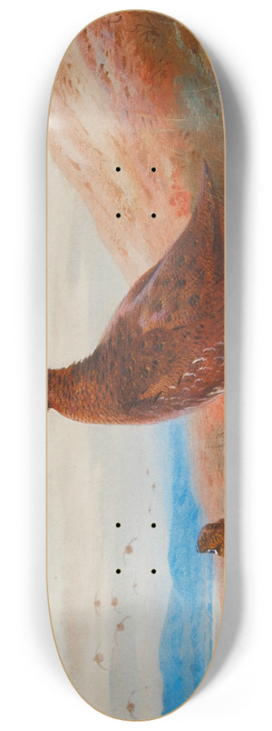 Archibald Thorburn - The Challenge 8.25 inch art skate deck